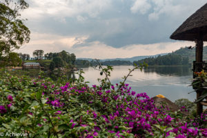 Uganda_BirdNest-0002