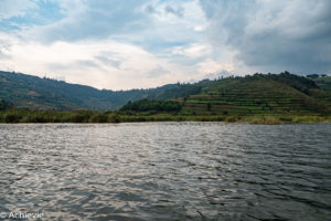 Uganda_BirdNest-0005