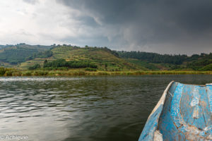 Uganda_BirdNest-0007