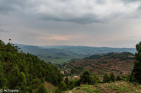 Uganda_Bwindi Arrival-0002