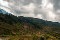 Uganda_Bwindi Arrival-0003