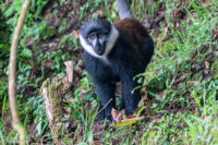 Uganda_Bwindi Arrival-0005