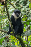Uganda_Bwindi Arrival-0006