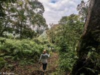 Uganda_Gorilla Trekking-0001