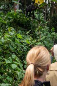 Uganda_Gorilla Trekking-0014