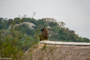 Lake Mburo, Uganda - Travelling Accountant