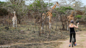 Lake Mburo National Park, Uganda - Travelling Accountant