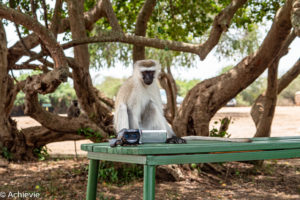 Lake Mburo National Park, Uganda - Travelling Accountant