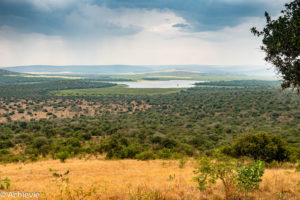 Uganda_Mburo_Safari-0012