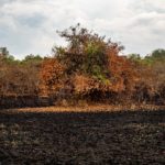 Uganda_Mburo_Safari-0016