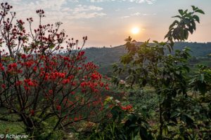 Uganda_Bwindi to QENP-0005