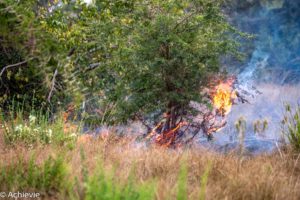 Uganda_Bwindi to QENP-0010