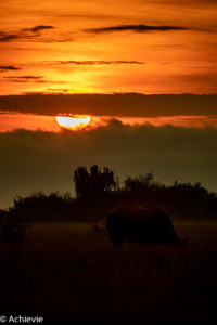 Queen Elisabeth National Park, Uganda - Travelling Accountant