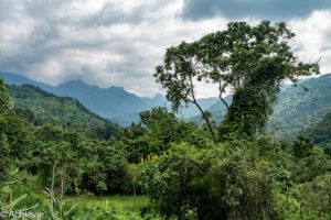 Uganda_Rwenzori-0002