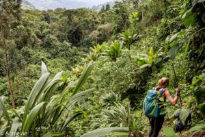 Uganda_Rwenzori-0007