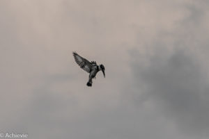 Uganda_Murchison_Boat-0001