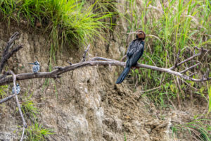 Uganda_Murchison_Boat-0003