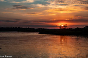 Uganda_Murchison_ParaaFerry-0003