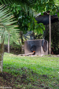 Uganda_Rweteera Safari-0008