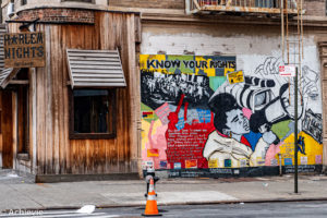 USA_NYCTour_Harlem & Upper-0001