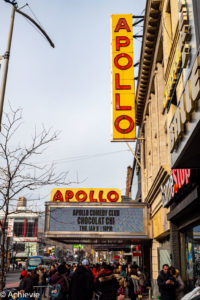 USA_NYCTour_Harlem & Upper-0003