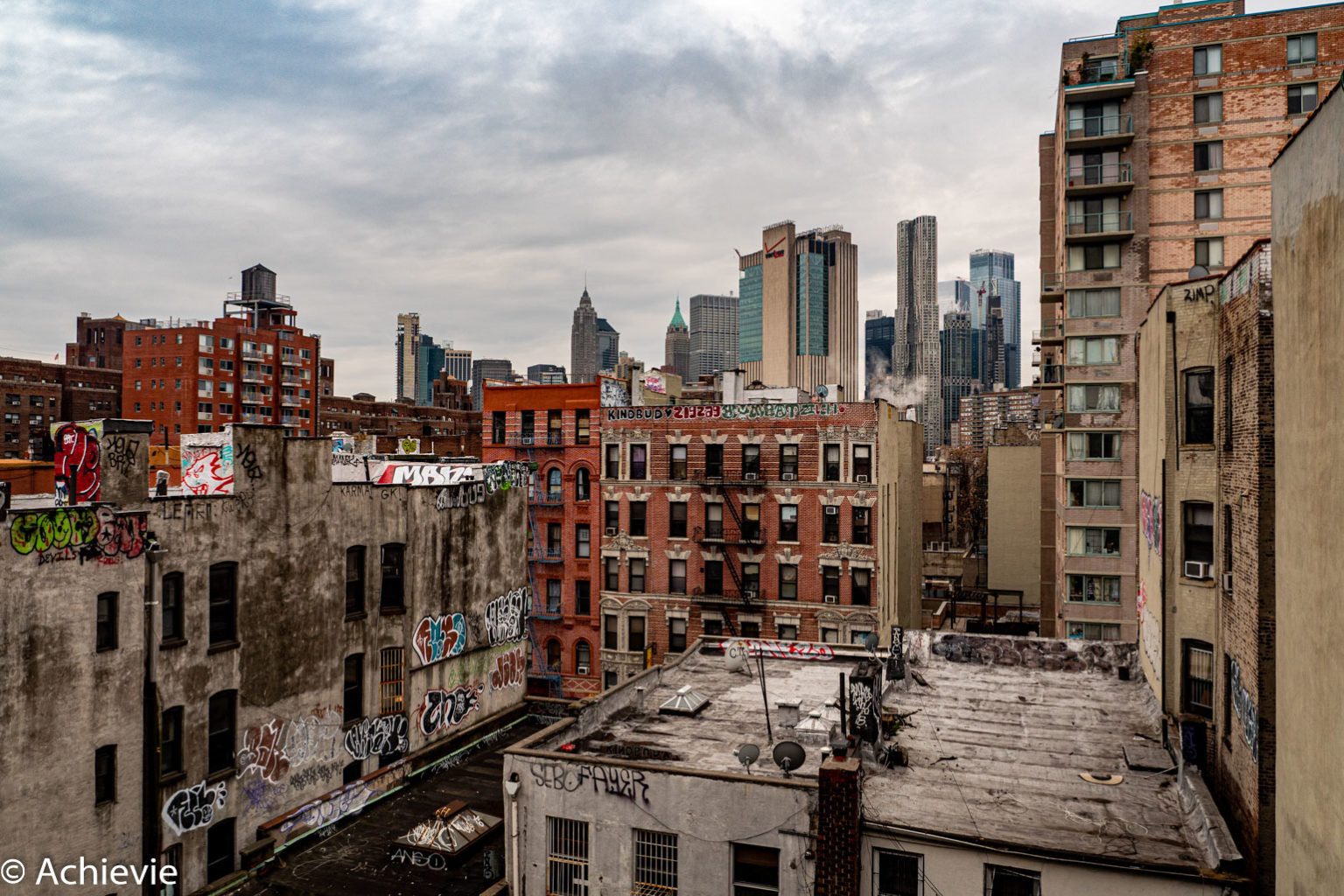 Our 5-Day NYC Trip – Day 4: Brooklyn & Dyker Heights - TravellingAccountant