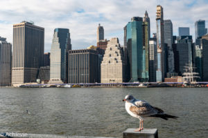 USA_NYC_Brooklyn & Dyker Heights-0016