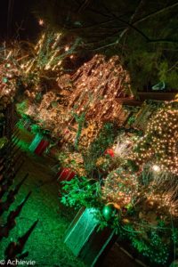 USA_NYC_Brooklyn & Dyker Heights-0021