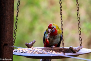 Melbourne_CapeOtwayCotages-0002